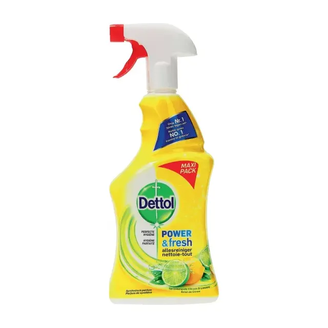 DETTOL NETT-TOUT POWER FR CITRON SPR. 750 ML
