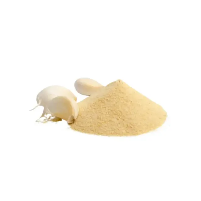 AIL EN POUDRE SEAU 500GR SPICE WORLD